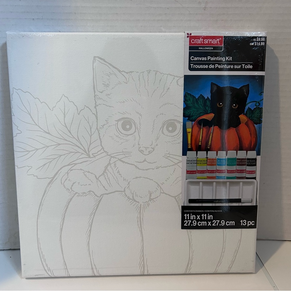 11” x 11” Craft Smart Canvas Painting Kit with Cat and Pumpkin Design